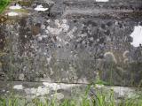 image of grave number 786836